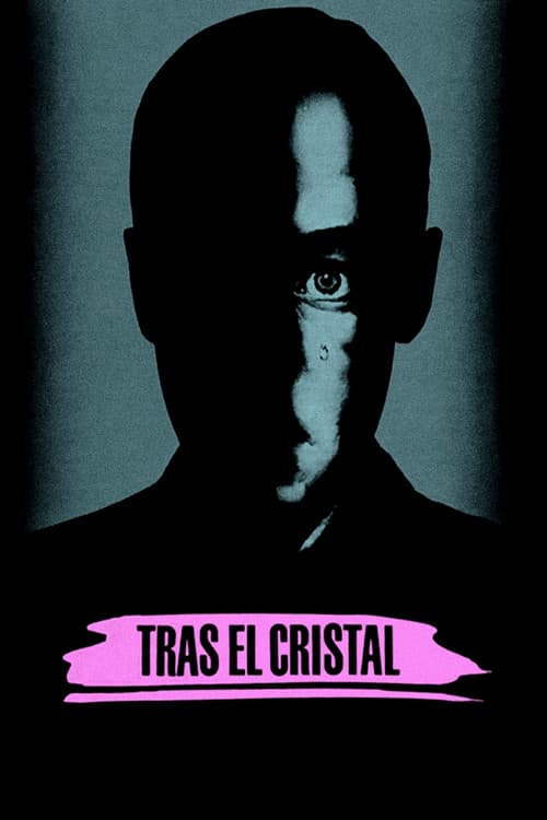 Tras el cristal afişi