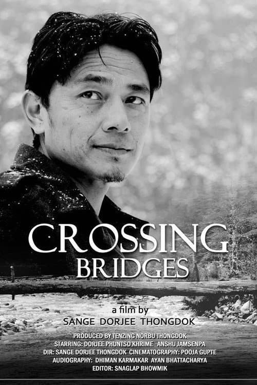 Crossing Bridges afişi