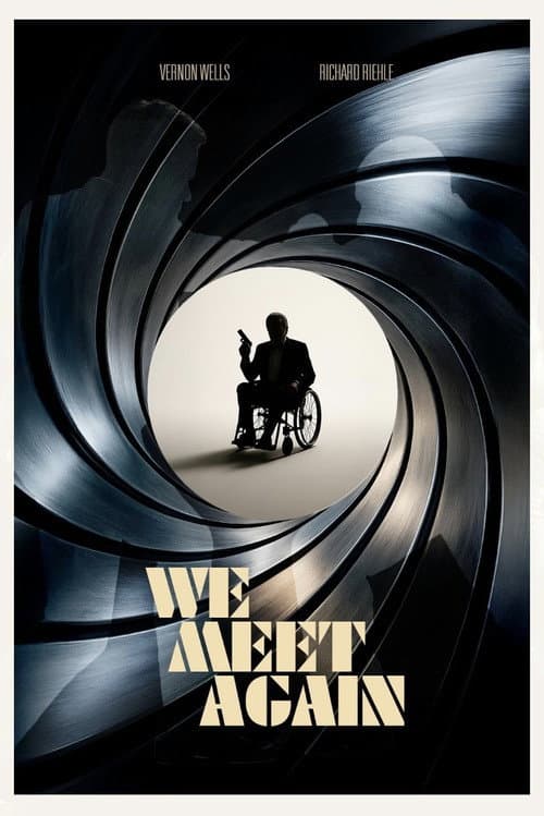 We Meet Again afişi