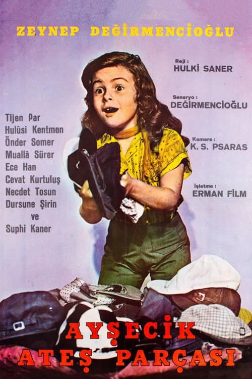 Ayşecik Ateş Parçası afişi