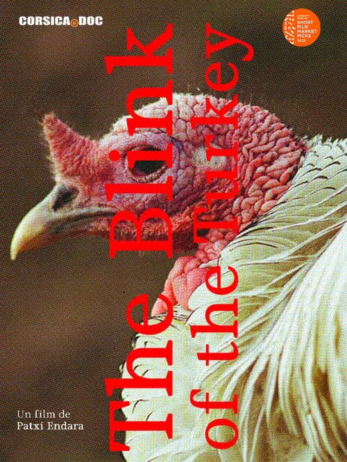 The blink of the turkey afişi
