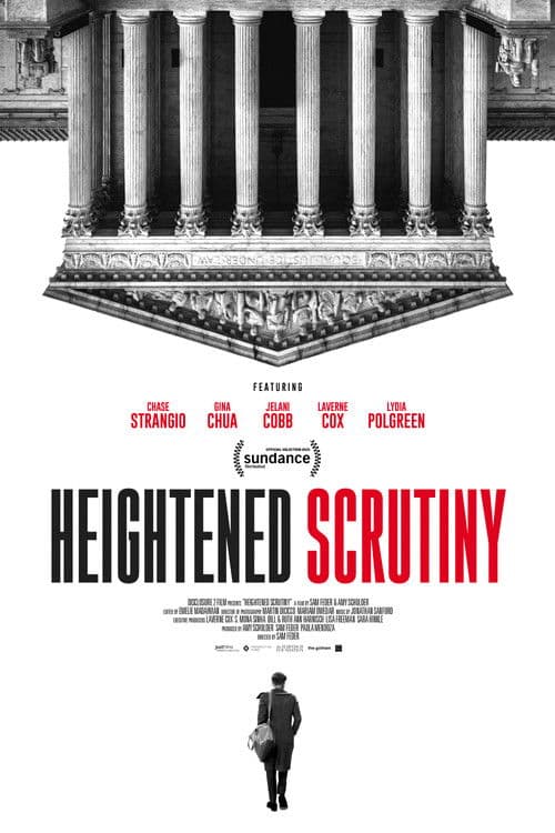 Heightened Scrutiny afişi