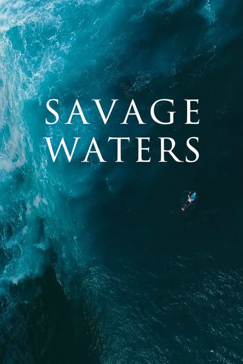 La vague perdue afişi