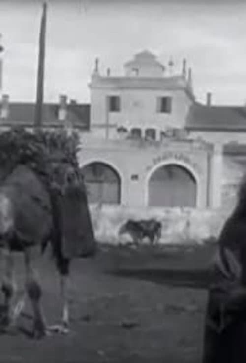 Marché aux charbons (avec chameaux) afişi