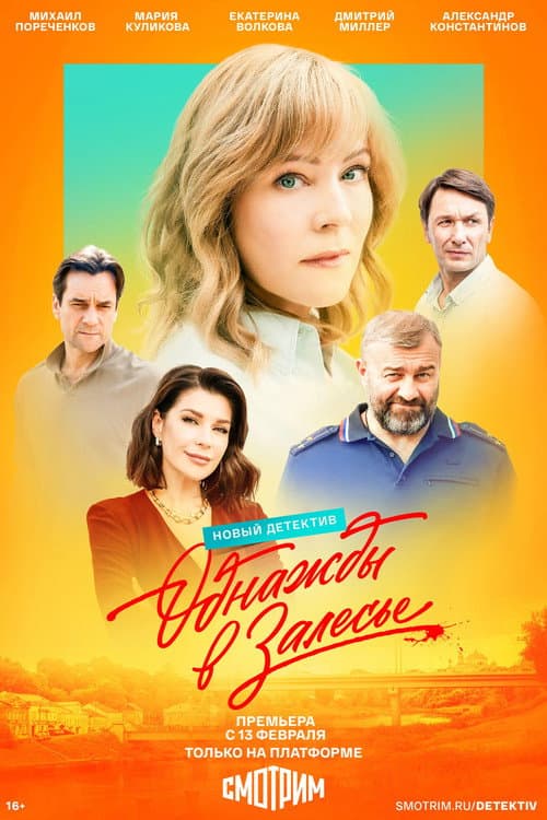 Odnazhdy v Zalese afişi
