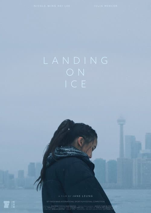 Landing On Ice afişi