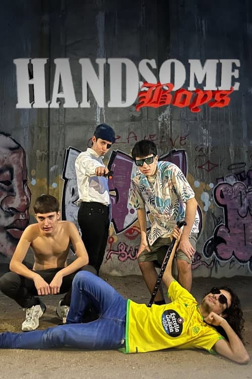 Handsome Boys afişi