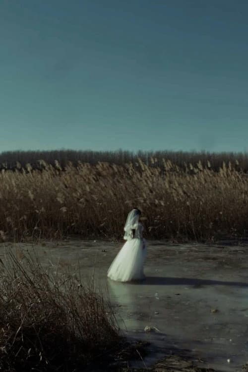 Her Wedding afişi