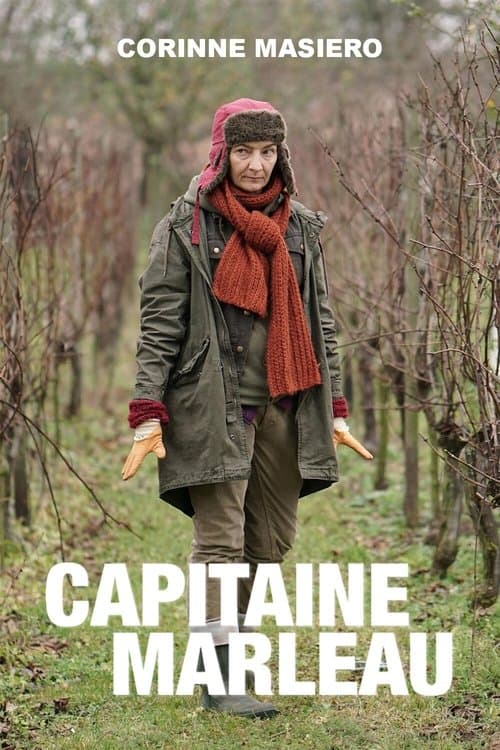 Capitaine Marleau afişi