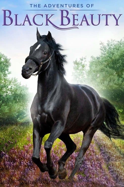 The Adventures of Black Beauty afişi