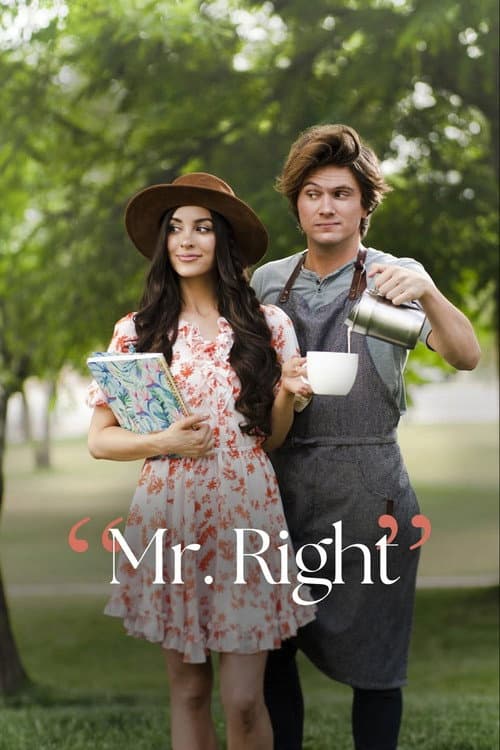 Mr. Right afişi