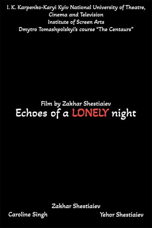 Echoes of a LONELY night afişi