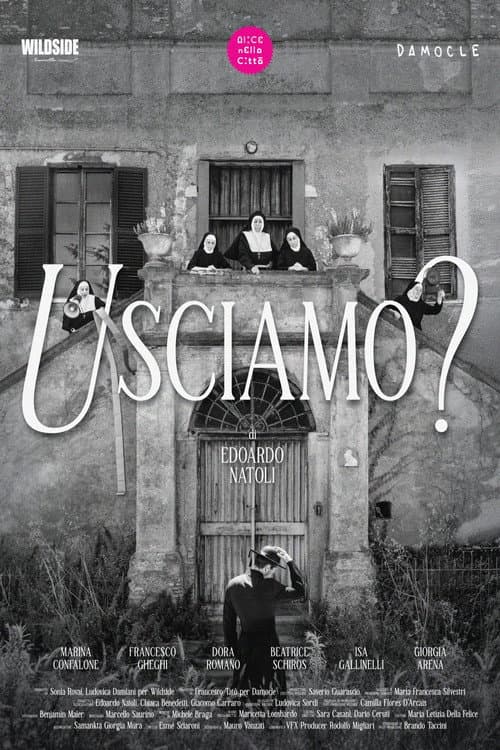 Usciamo? afişi