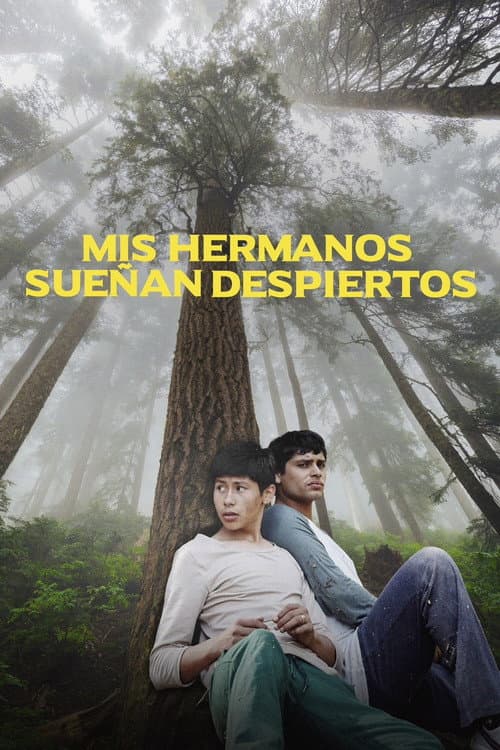 Mis hermanos sueñan despiertos afişi