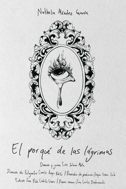 El porqué de las lágrimas afişi