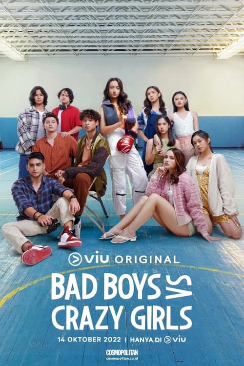 Bad Boys VS Crazy Girls afişi