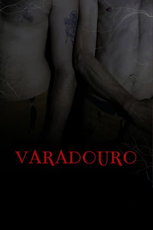 Varadouro afişi