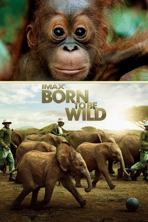 Born to Be Wild afişi