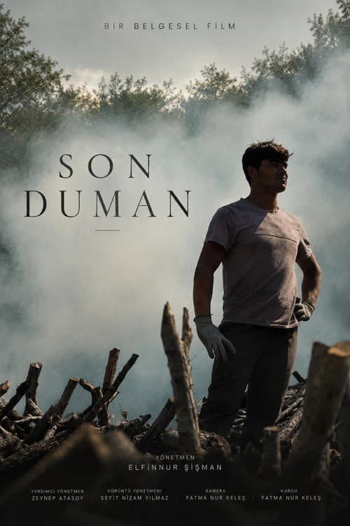 Son Duman afişi