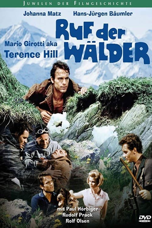 Ruf der Wälder afişi