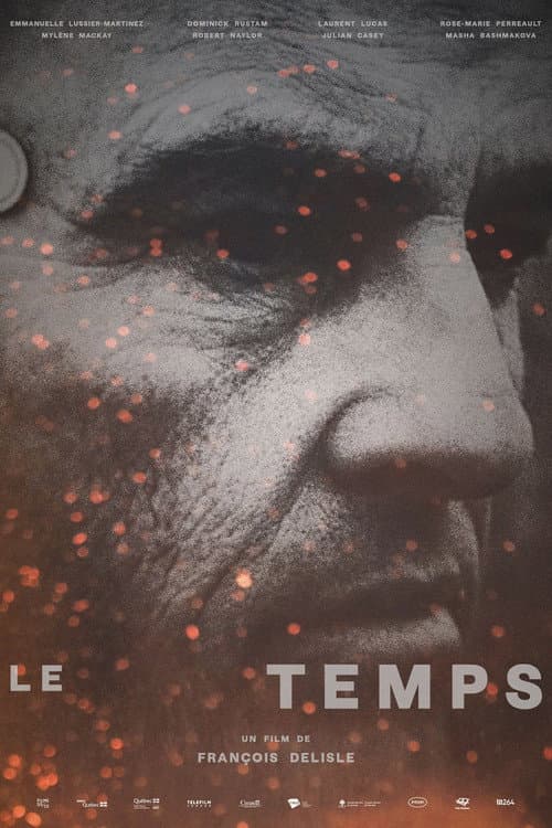 Le temps afişi
