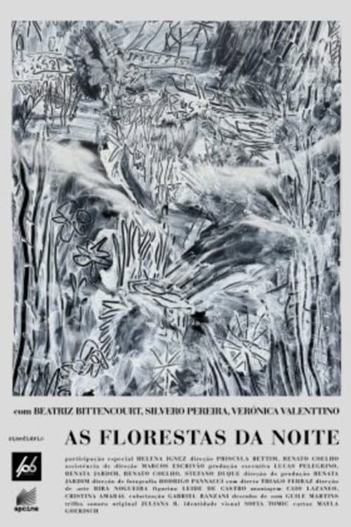 As Florestas da Noite afişi