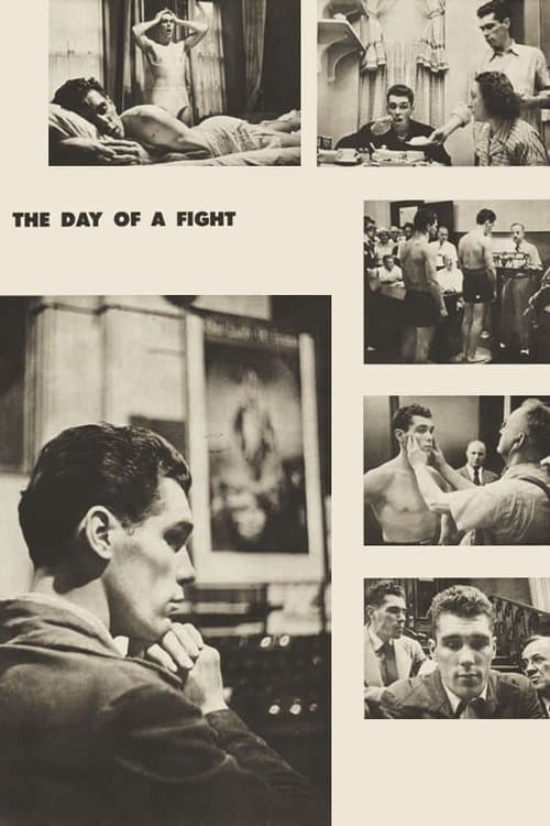Day of the Fight afişi