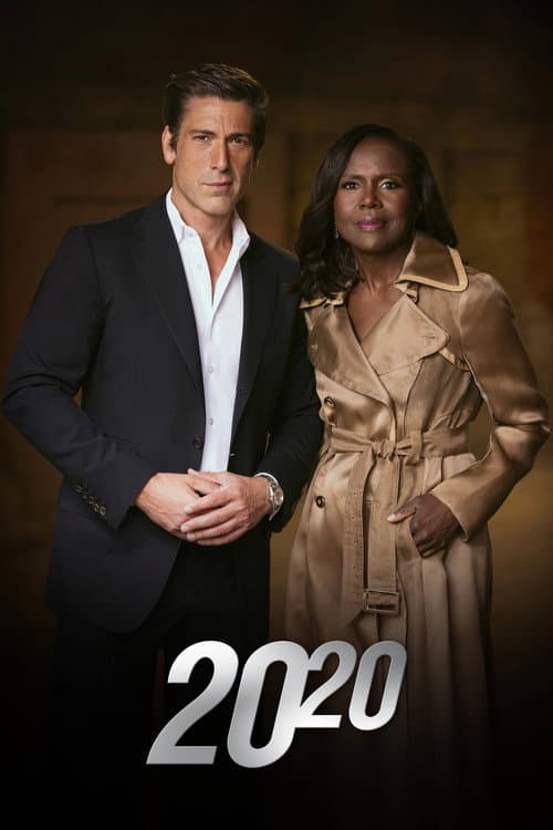 20/20 afişi