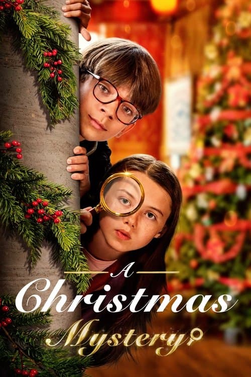Bir Noel Gizemi afişi