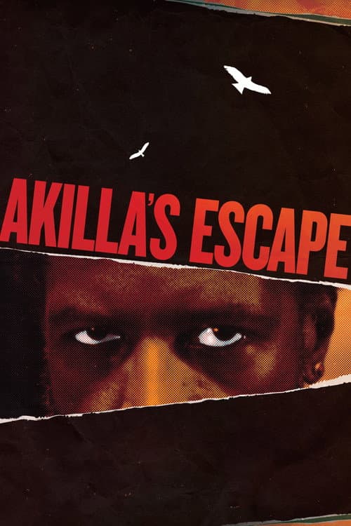 Akilla's Escape afişi