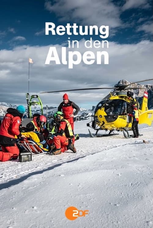 Rettung in den Alpen afişi