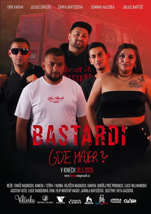 Bastardi: Gde Majer? afişi