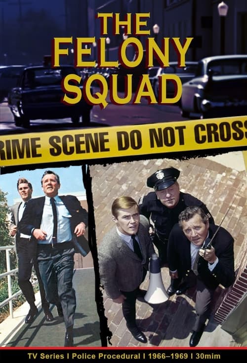 Felony Squad afişi