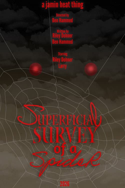Superficial Survey of a Spider afişi
