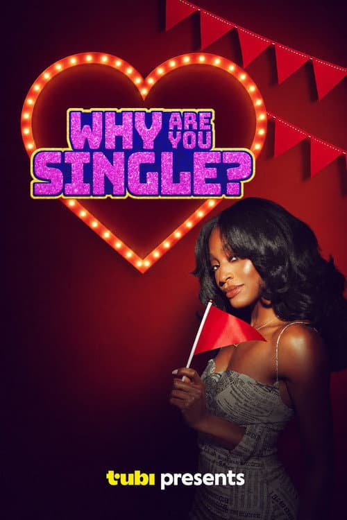 Why Are You Single? afişi
