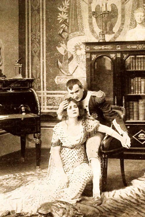 Napoleon and the Empress Josephine afişi