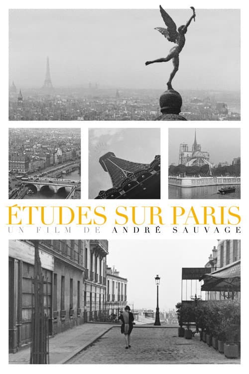 Études sur Paris afişi
