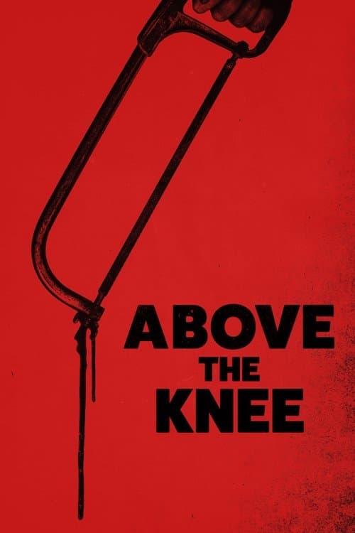Over kneet afişi