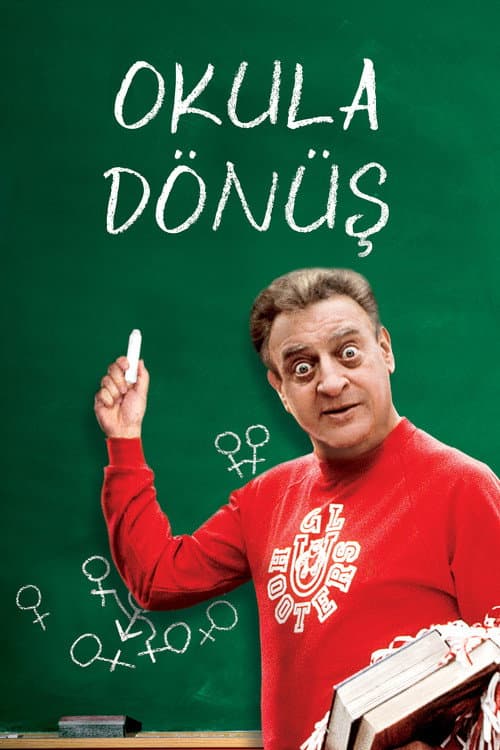 Okula Dönüş afişi