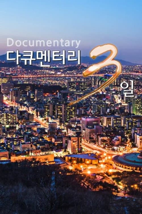 다큐멘터리 3일 afişi