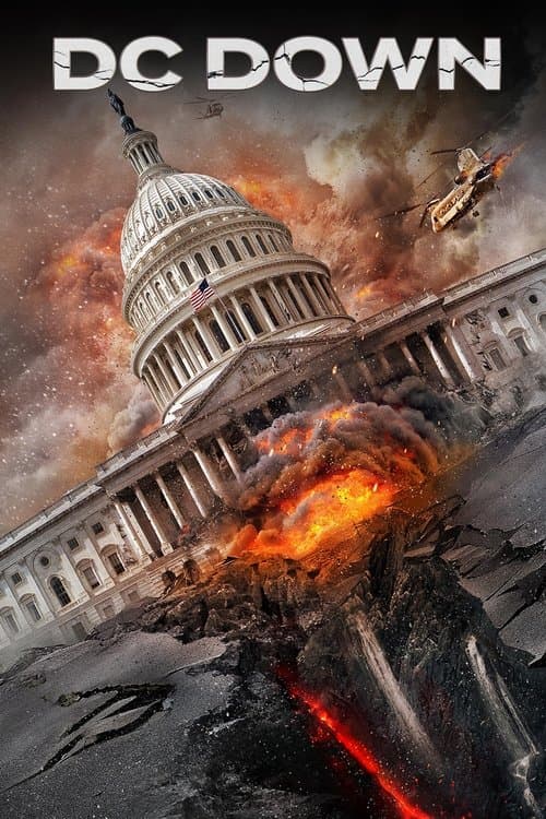 Washington'da Deprem afişi