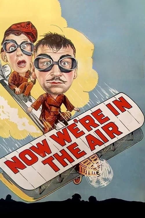 Now We're in the Air afişi
