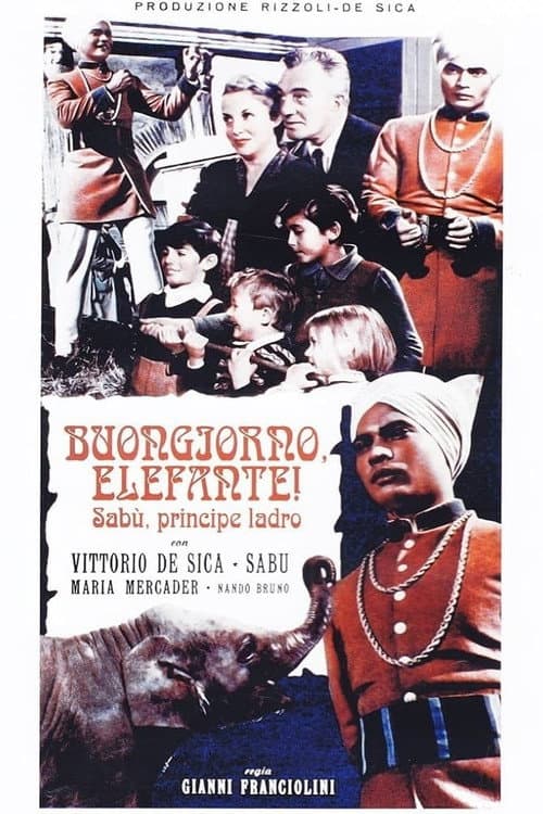 Buongiorno, elefante! afişi