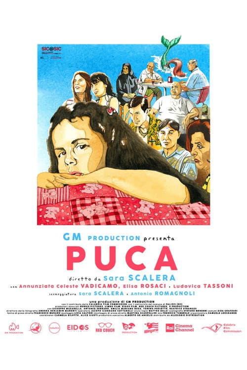 Puca afişi