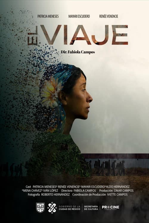 El viaje afişi