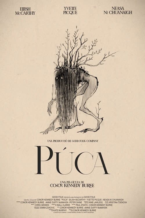 Púca afişi