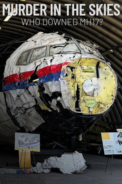 Gökyüzünde Facia: MH17'yi Kim Düşürdü? afişi