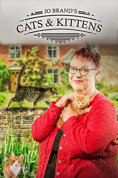 Jo Brand's Cats & Kittens afişi