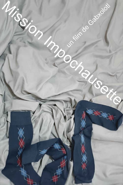 Mission Impochausette afişi