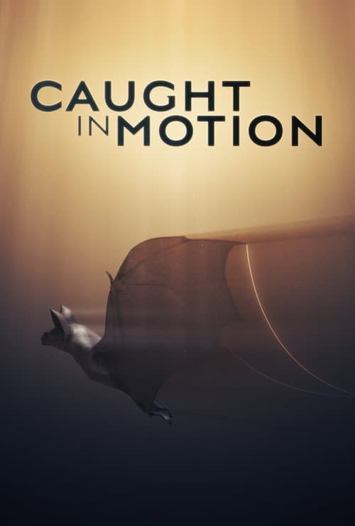 Caught in Motion afişi